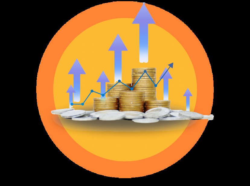 The Most Financed Products in Egypt for 2024